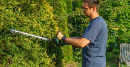 Ryobi 40V hedge trimmer